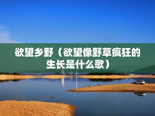 欲望乡野（欲望像野草疯狂的生长是什么歌）