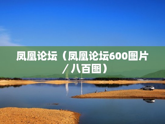 凤凰论坛（凤凰论坛600图片／八百图）