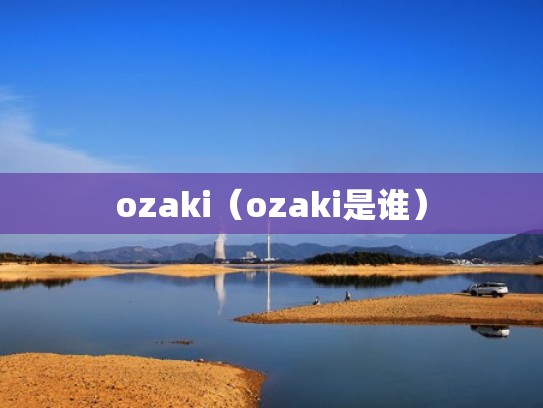 ozaki（ozaki是谁）