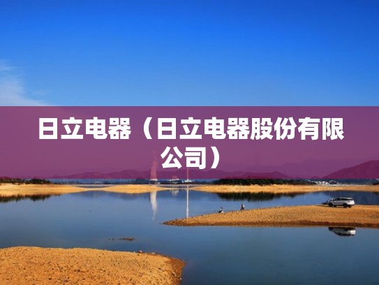 日立电器（日立电器股份有限公司）