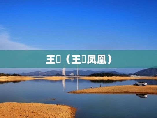 王赟（王赟凤凰）