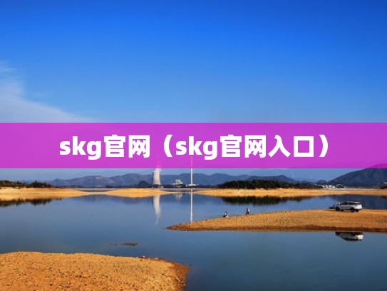 skg官网（skg官网入口）