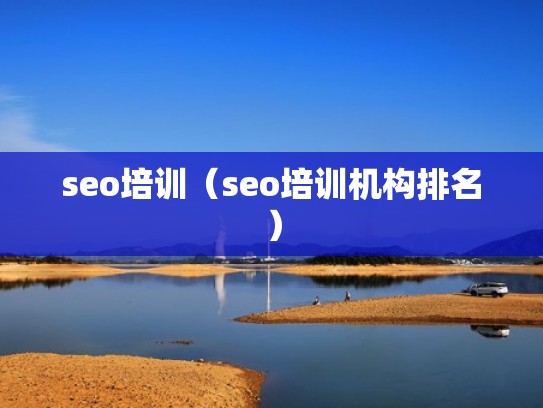 seo培训（seo培训机构排名）