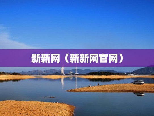 新新网（新新网官网）