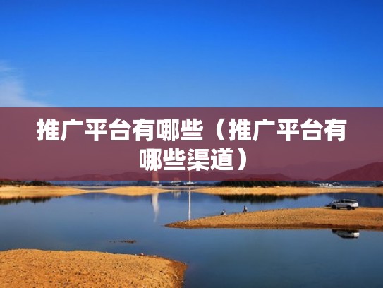 推广平台有哪些（推广平台有哪些渠道）