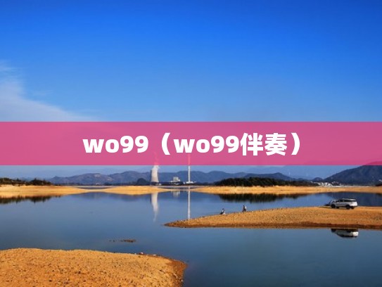 wo99（wo99伴奏）