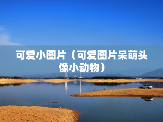 可爱小图片（可爱图片呆萌头像小动物）