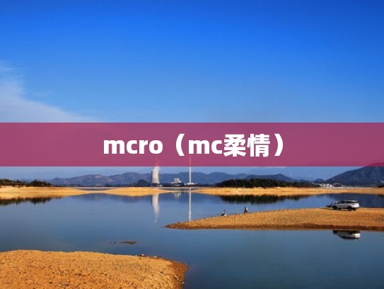 mcro（mc柔情）