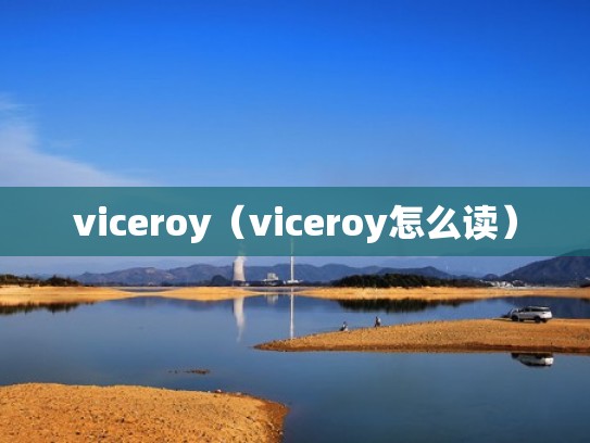 viceroy（viceroy怎么读）