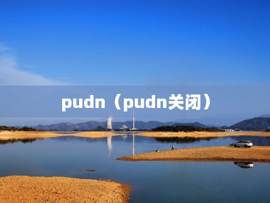 pudn（pudn关闭）
