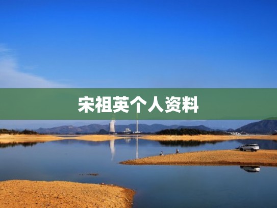 宋祖英个人资料
