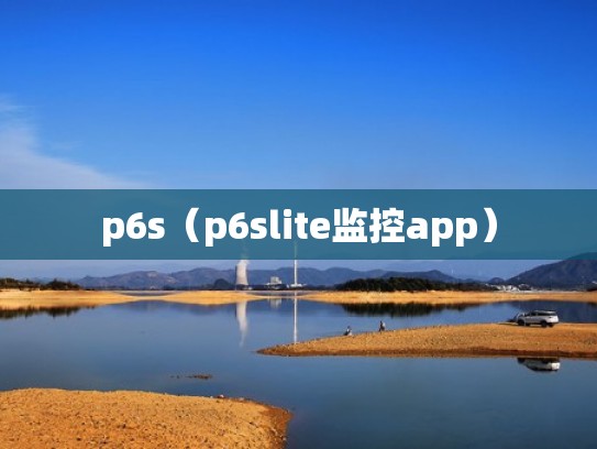 p6s（p6slite监控app）
