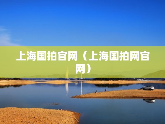 上海国拍官网（上海国拍网官网）