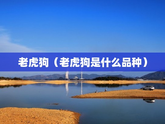 老虎狗（老虎狗是什么品种）