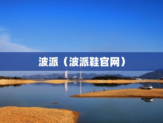 波派（波派鞋官网）