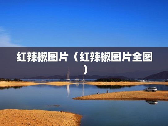 红辣椒图片（红辣椒图片全图）