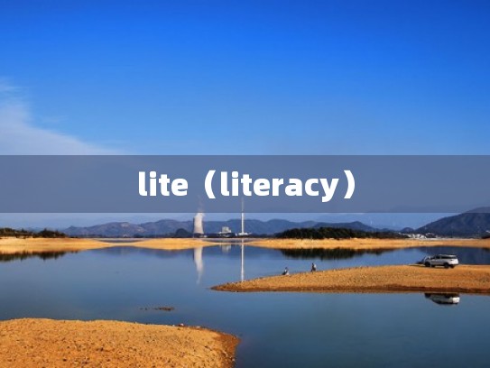 lite（literacy）