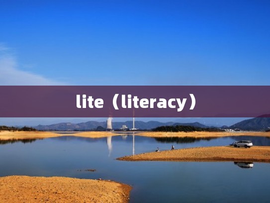 lite（literacy）