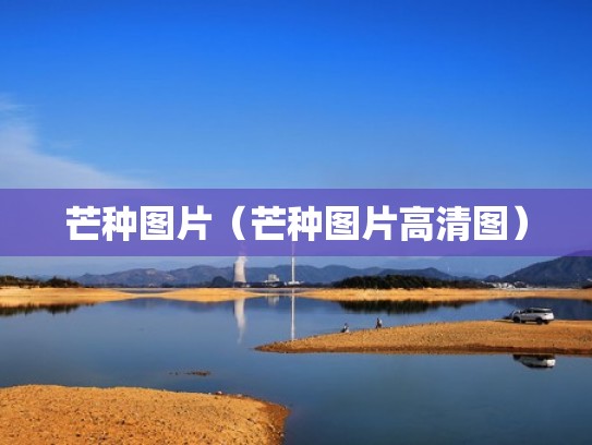 芒种图片（芒种图片高清图）