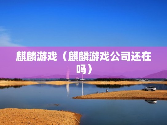 麒麟游戏（麒麟游戏公司还在吗）