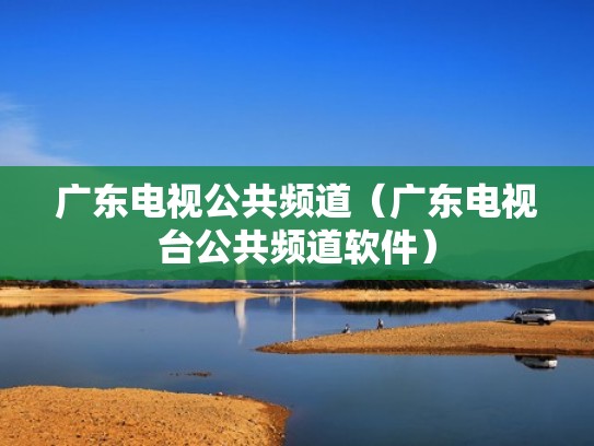 广东电视公共频道（广东电视台公共频道软件）