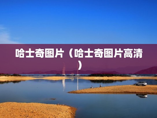 哈士奇图片（哈士奇图片高清）