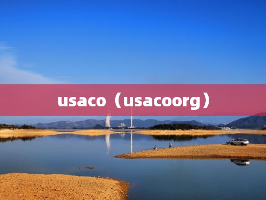 usaco（usacoorg）
