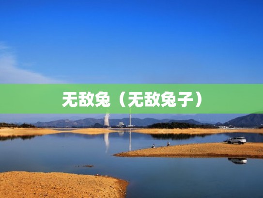 无敌兔（无敌兔子）