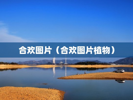 合欢图片（合欢图片植物）