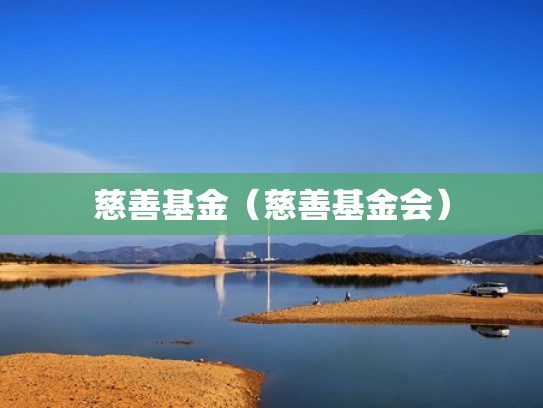 慈善基金（慈善基金会）