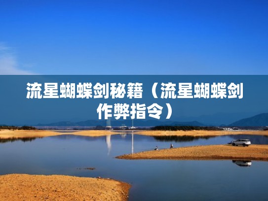 流星蝴蝶剑秘籍（流星蝴蝶剑作弊指令）