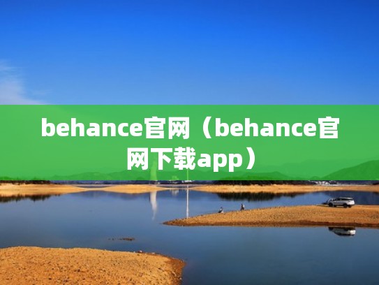 behance官网（behance官网下载app）