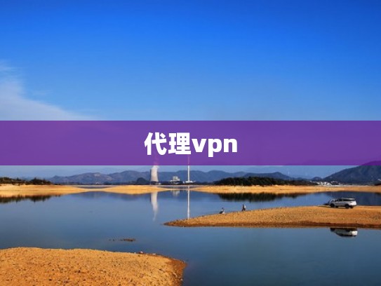 代理vpn