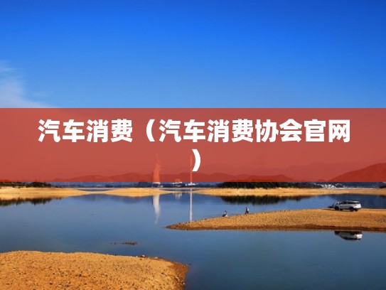 汽车消费（汽车消费协会官网）