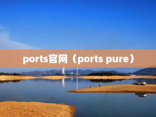 ports官网（ports pure）