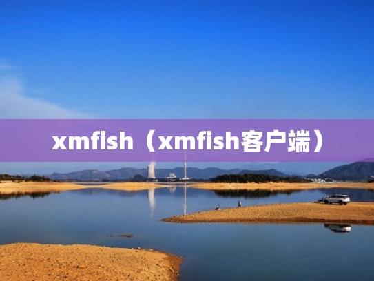 xmfish（xmfish客户端）