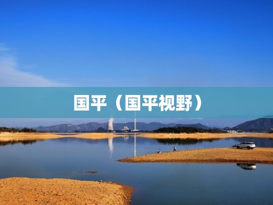 国平（国平视野）