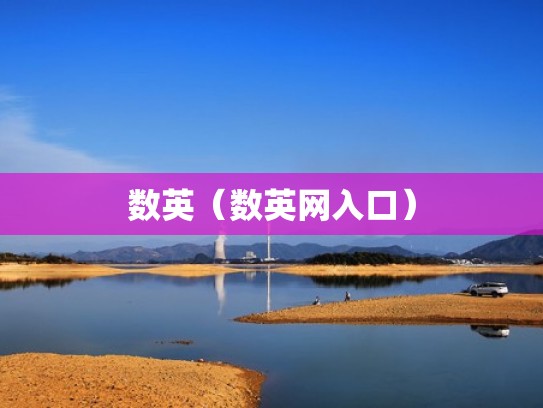 数英（数英网入口）