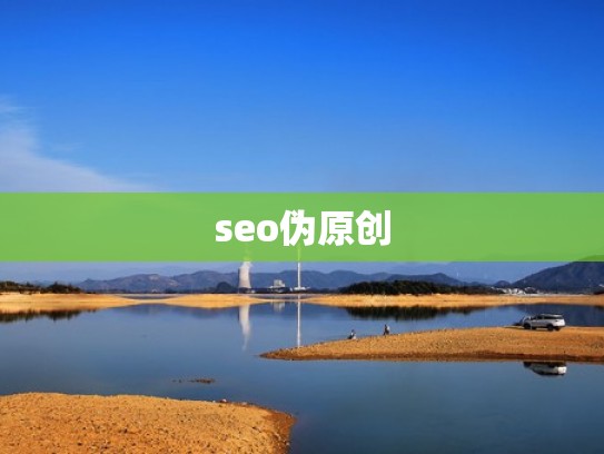 seo伪原创