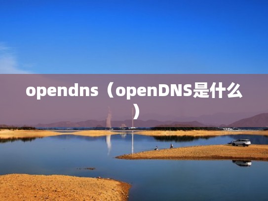 opendns（openDNS是什么）