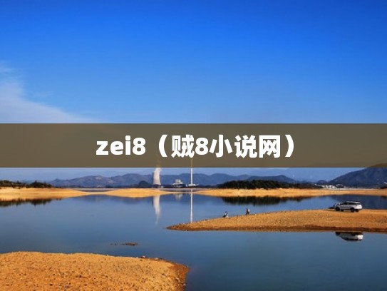 zei8（贼8小说网）