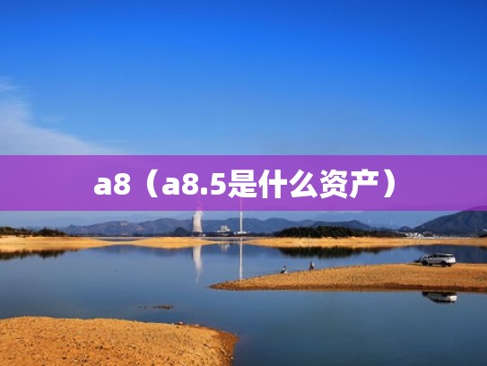 a8（a8.5是什么资产）