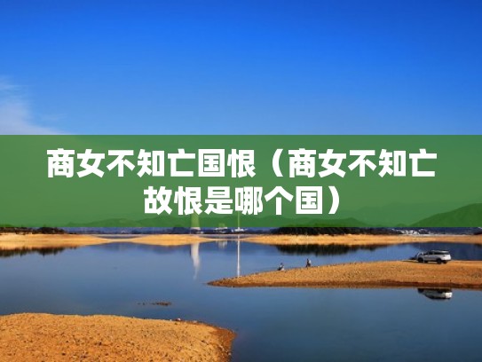 商女不知亡国恨（商女不知亡故恨是哪个国）