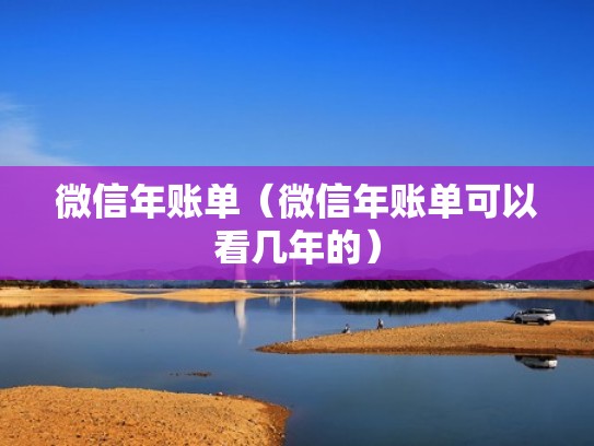 微信年账单（微信年账单可以看几年的）