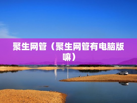 聚生网管（聚生网管有电脑版嘛）