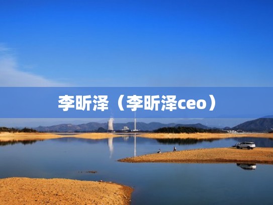 李昕泽（李昕泽ceo）
