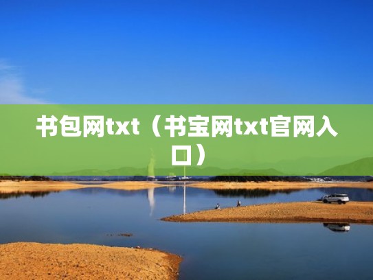 书包网txt（书宝网txt官网入口）