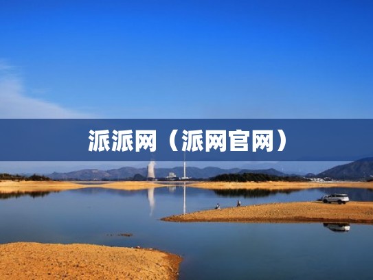 派派网（派网官网）