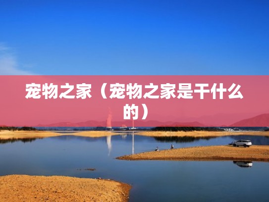 宠物之家（宠物之家是干什么的）