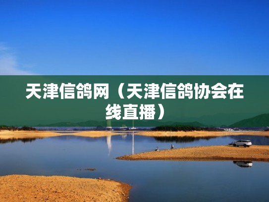 天津信鸽网(天津信鸽协会在线直播) 天津信鸽网(天津信鸽协会在线直播)